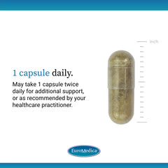 EuroMedica Cognitive Health Plus packaging emphasizing premium herbal brain support.
