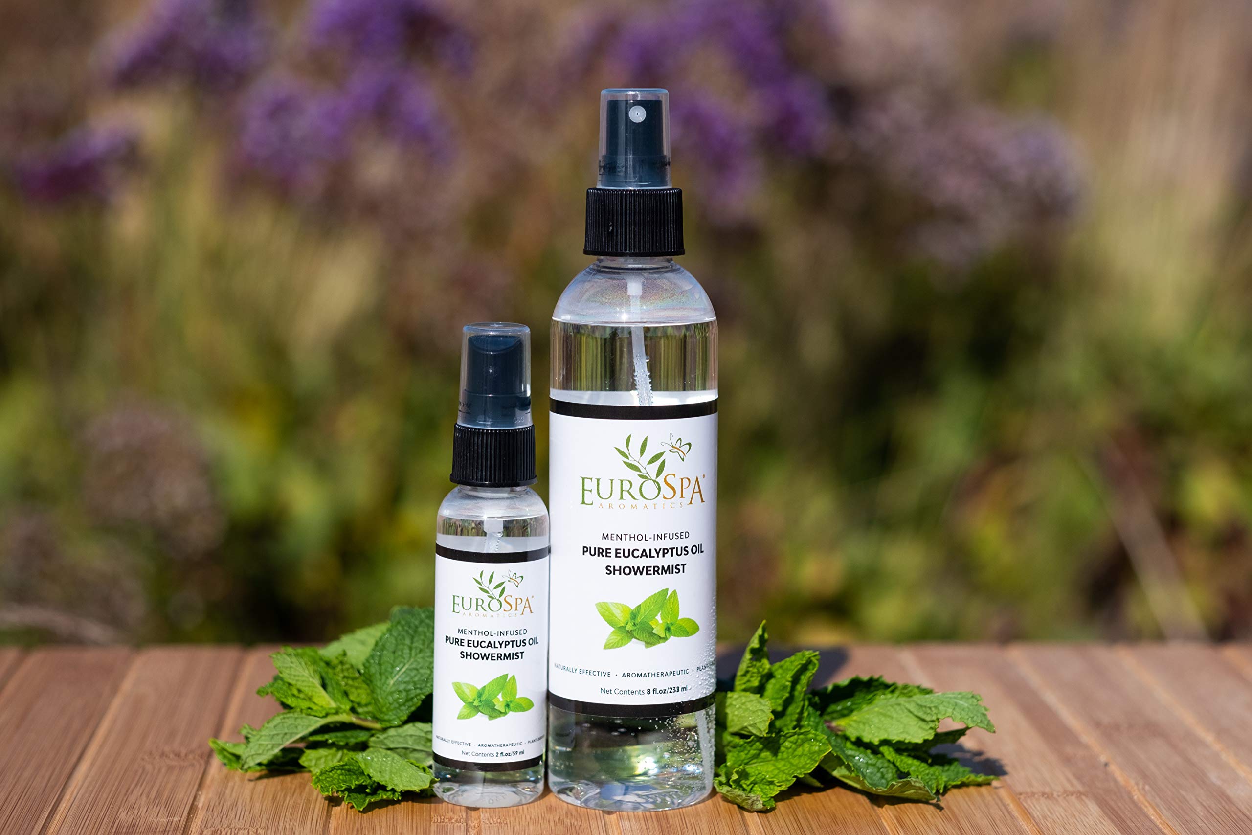 EuroSpa Aromatics Menthol-infused Eucalyptus Steam Room Spray 8oz for invigorating aromatherapy