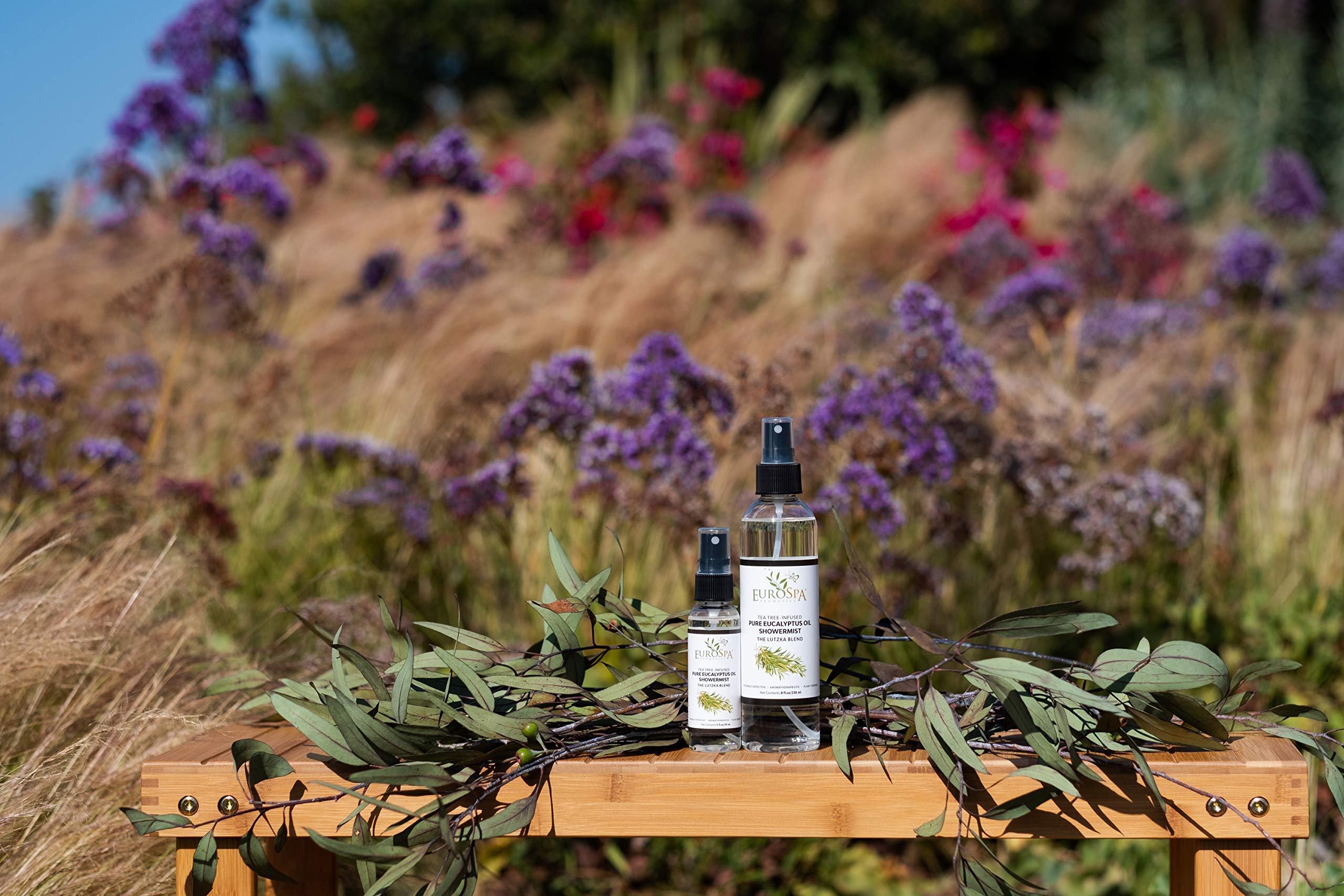 Aromatherapy in the shower with EuroSpa Aromatics eucalyptus mist.