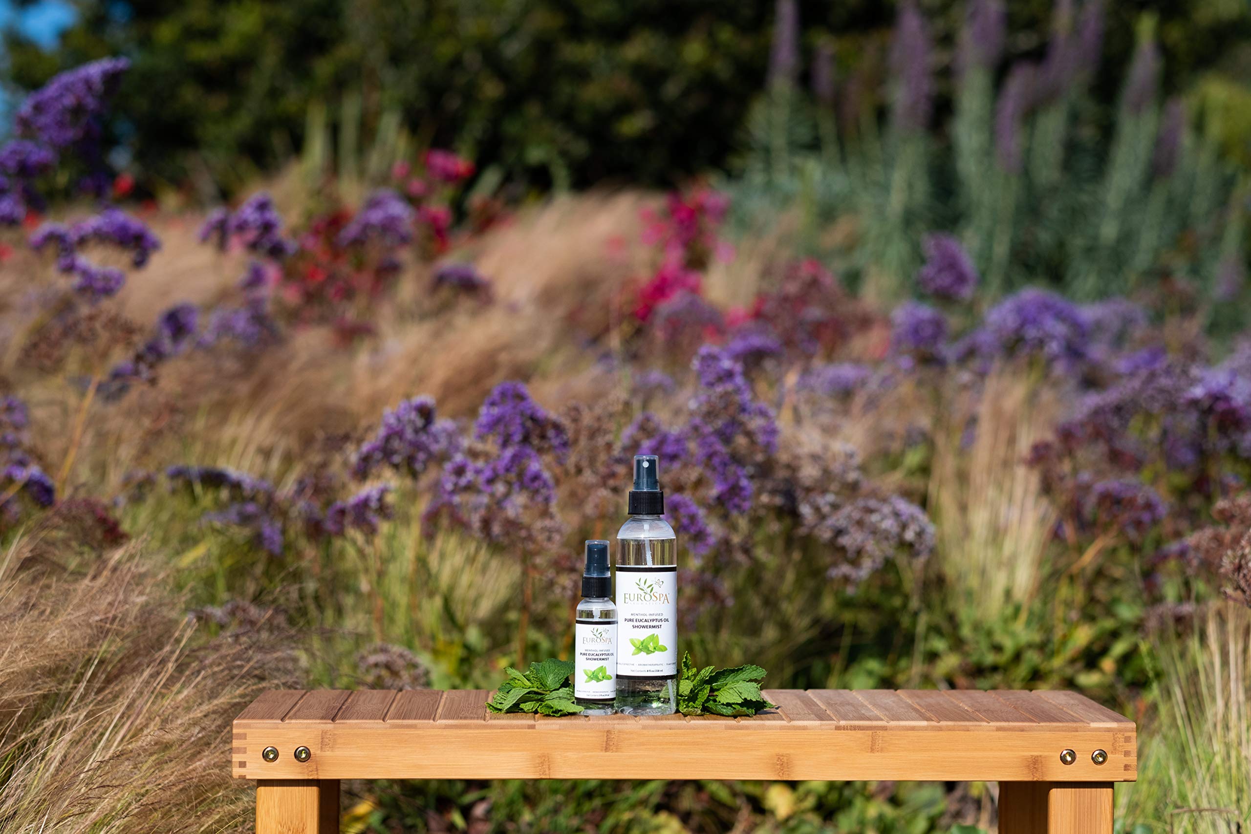 EuroSpa Aromatics bathroom steam aroma with eucalyptus refreshes the senses.