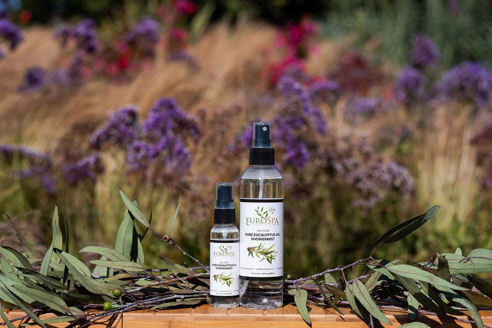 Close-up of eucalyptus leaves signaling natural essential oil quality.