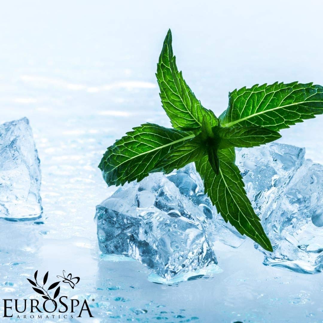 EuroSpa Aromatics eucalyptus oil diffusion in shower for refreshing atmosphere