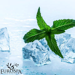 EuroSpa Aromatics eucalyptus oil diffusion in shower for refreshing atmosphere