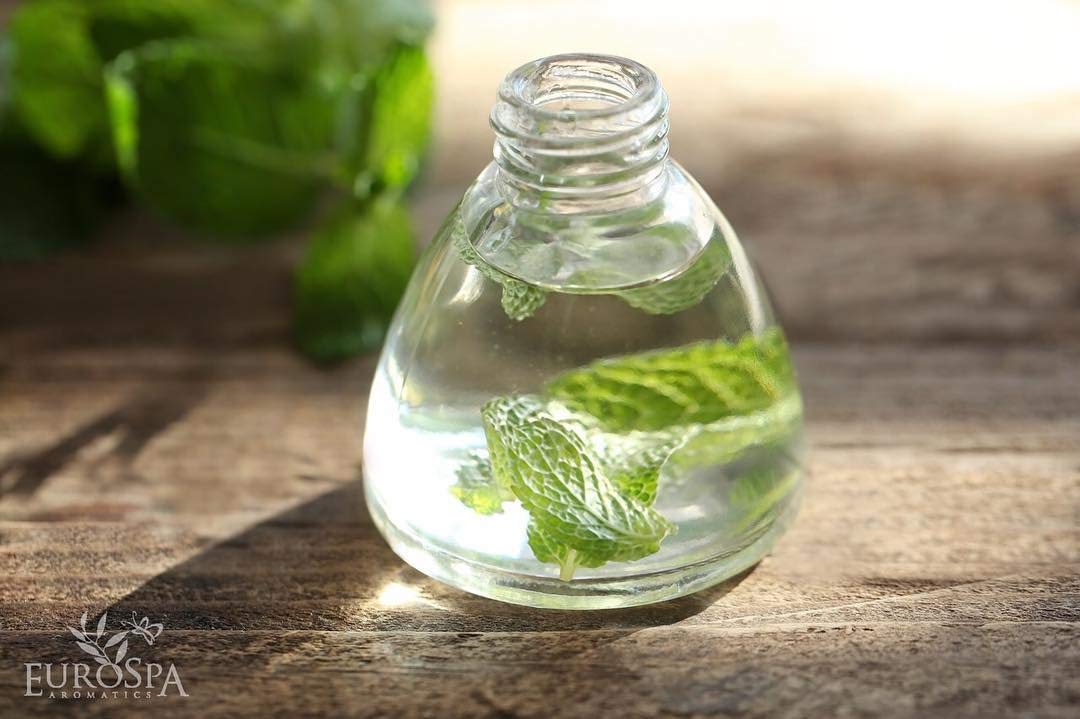 EuroSpa Aromatics mint-infused eucalyptus oil essence for cooling aroma