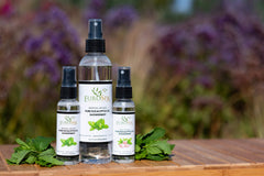 EuroSpa Aromatics shower mist bathroom aroma, offering a calming, invigorating aromatherapy moment.
