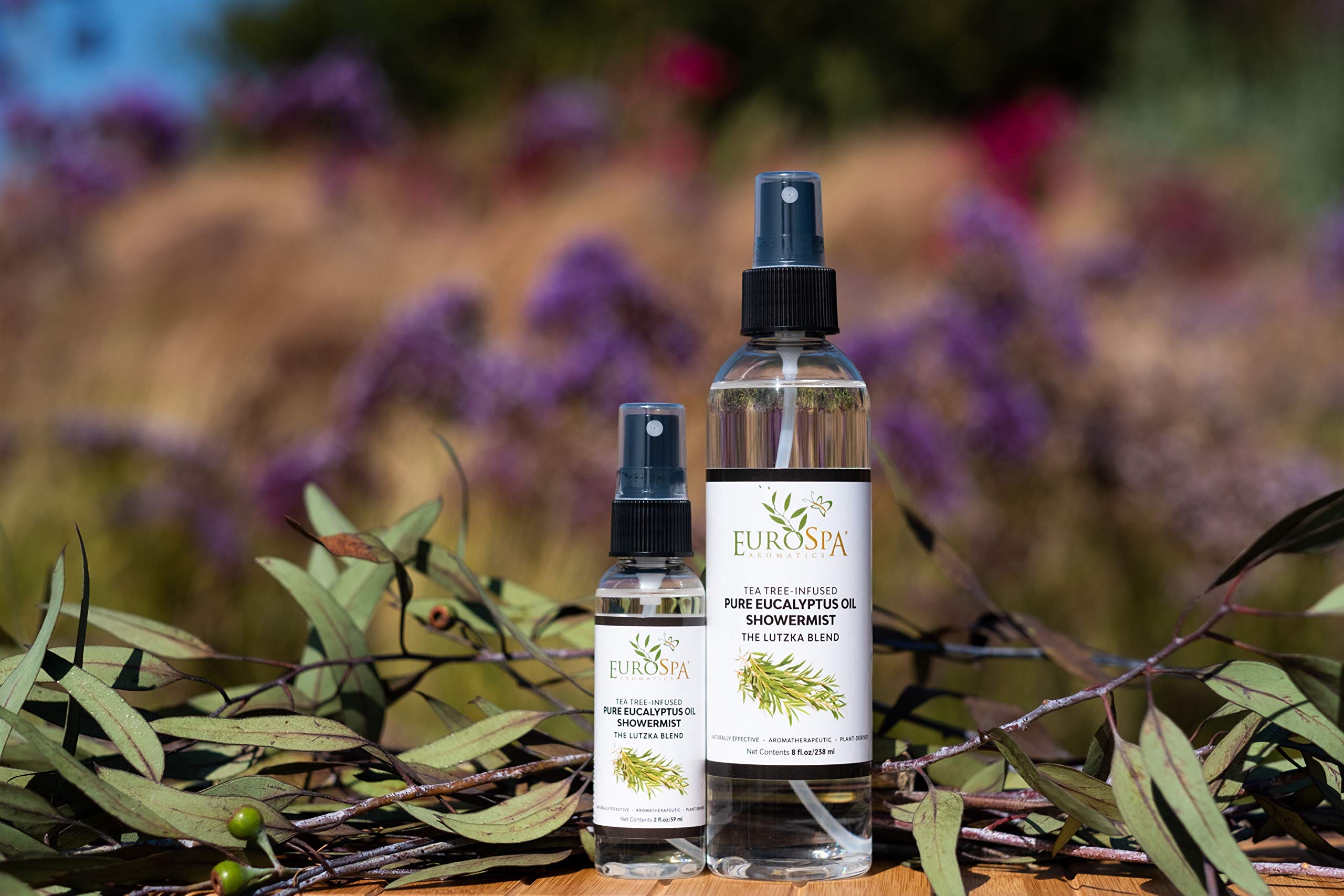 Tea Tree infused eucalyptus essence from EuroSpa Aromatics for energizing breathing mood.