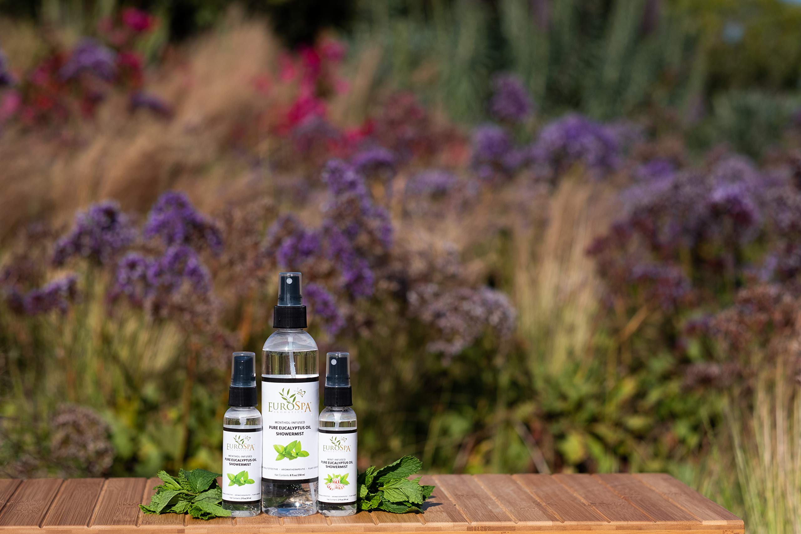EuroSpa Aromatics travel-size compact packaging, convenient for on-the-go eucalyptus scent.
