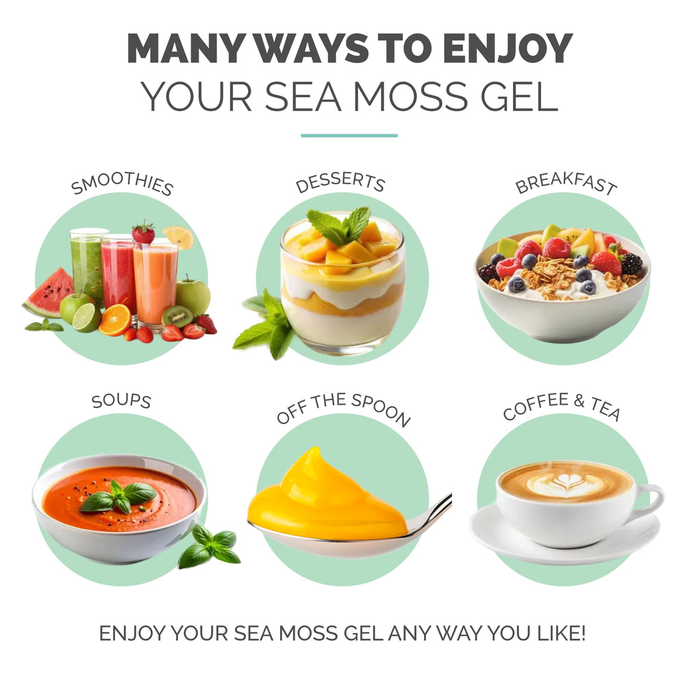 EverSmith Organics sea moss gel dessert topping for creamy indulgence