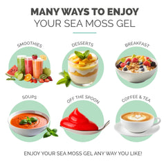EverSmith Organics sea moss gel jar visual with clear label
