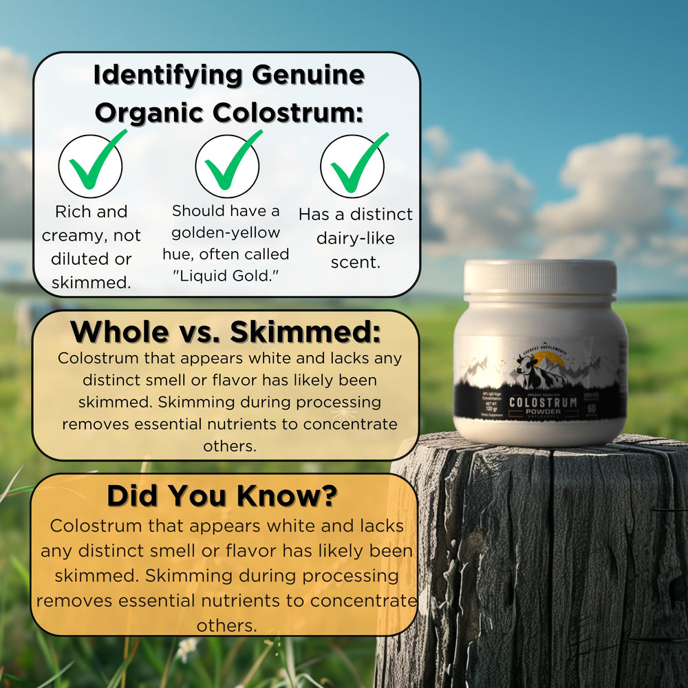 Everest Supplements Organic Colostrum Powder tub—high concentration for digestive wellness.