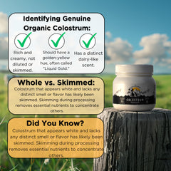 Everest Supplements Organic Colostrum Powder tub—high concentration for digestive wellness.