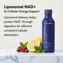 Everlife Brain Clarity nootropic vibe underscores focus and stress resilience