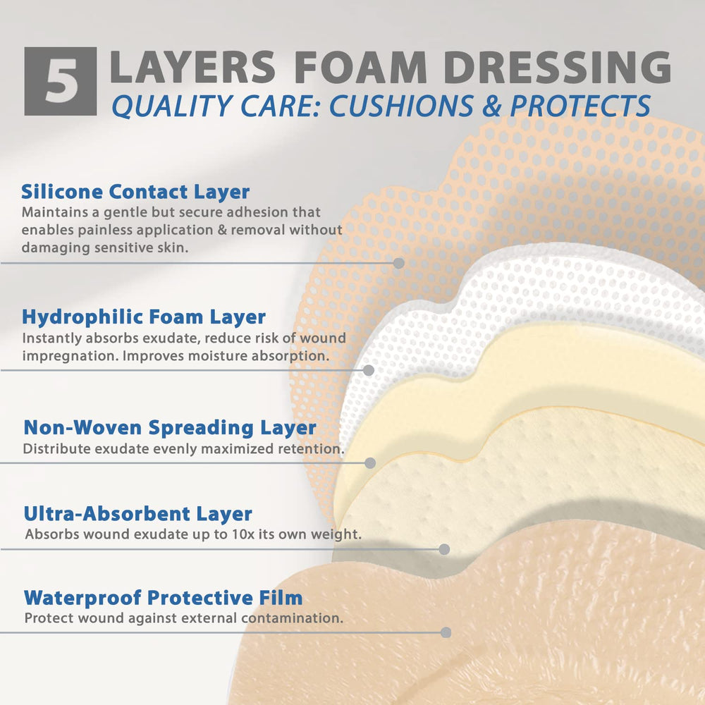Everlit Sacrum Foam Dressing multilayer structure highlights absorbent core and breathable film.
