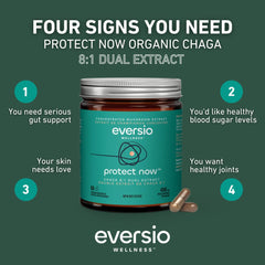 Eversio Wellness wild-harvested chaga sclerotia close-up suggesting natural antioxidant profile.