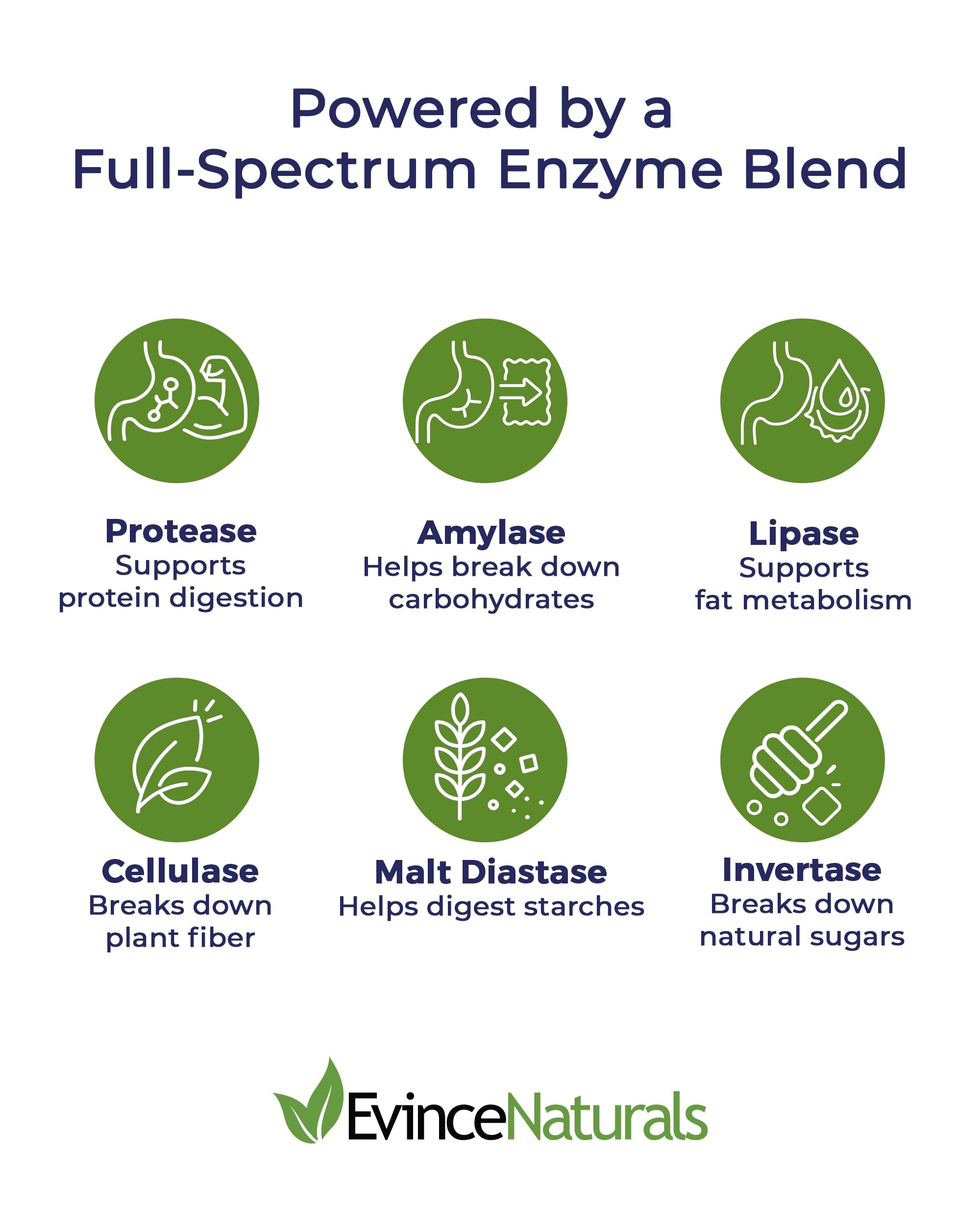 DigestPlus label close-up highlighting vegan enzyme formula.