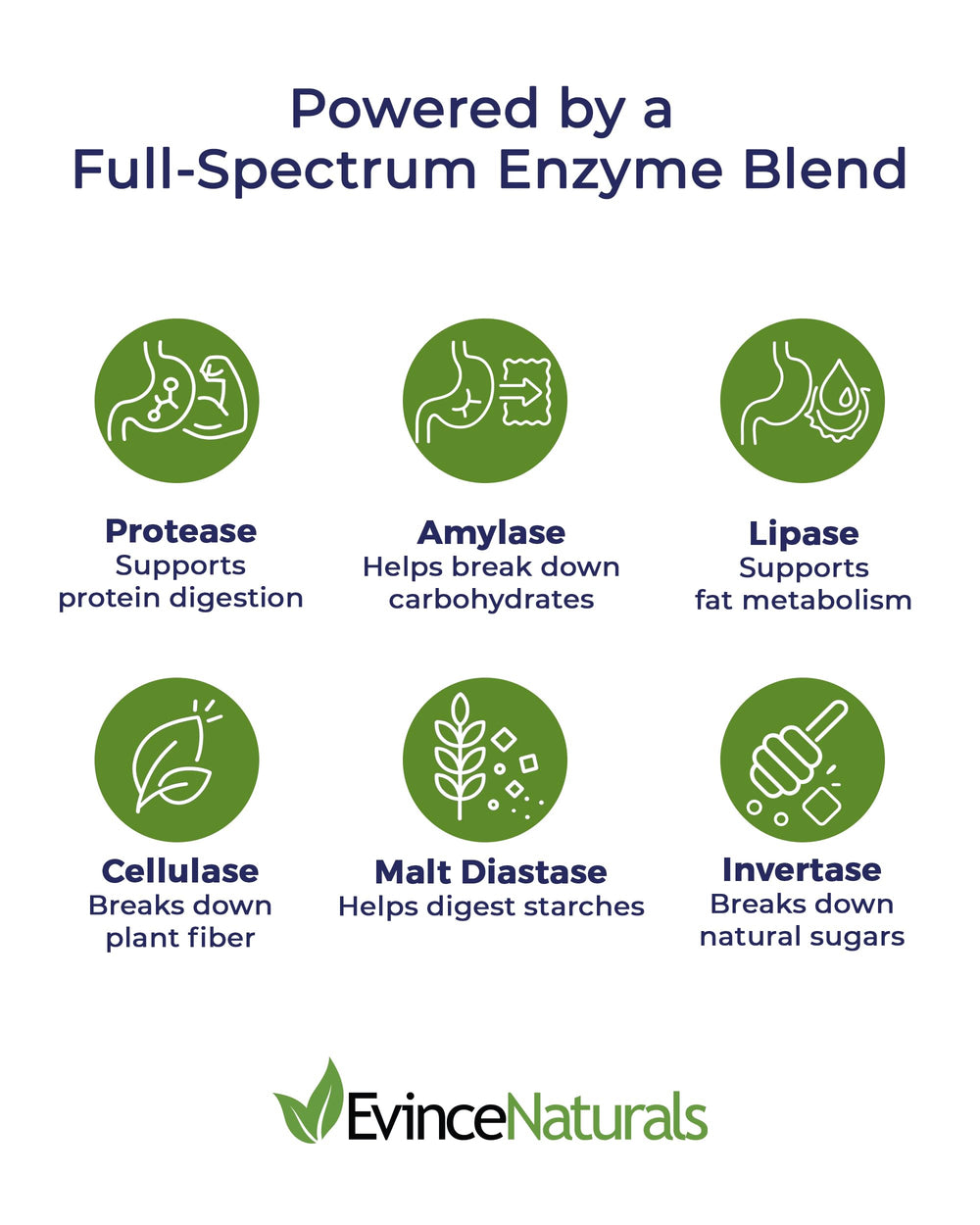 DigestPlus label close-up highlighting vegan enzyme formula.