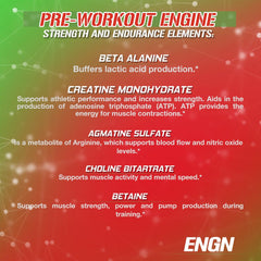 EVL ENGN preworkout athlete in gym demonstrates sustained energy.