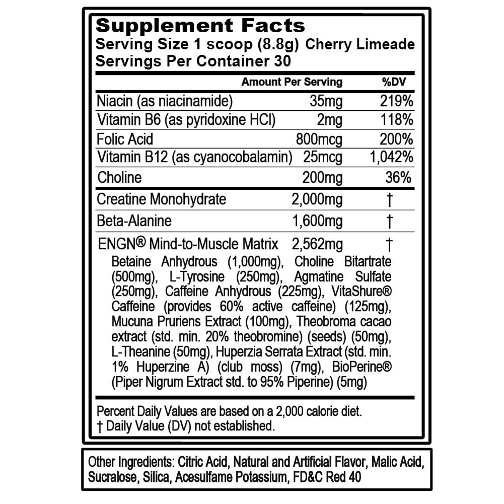 EVL ENGN preworkout scoop measure for precise dosing and consistency.