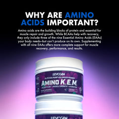 Evogen Amino K.E.M. bottle setup ready for daily supplementation routine.