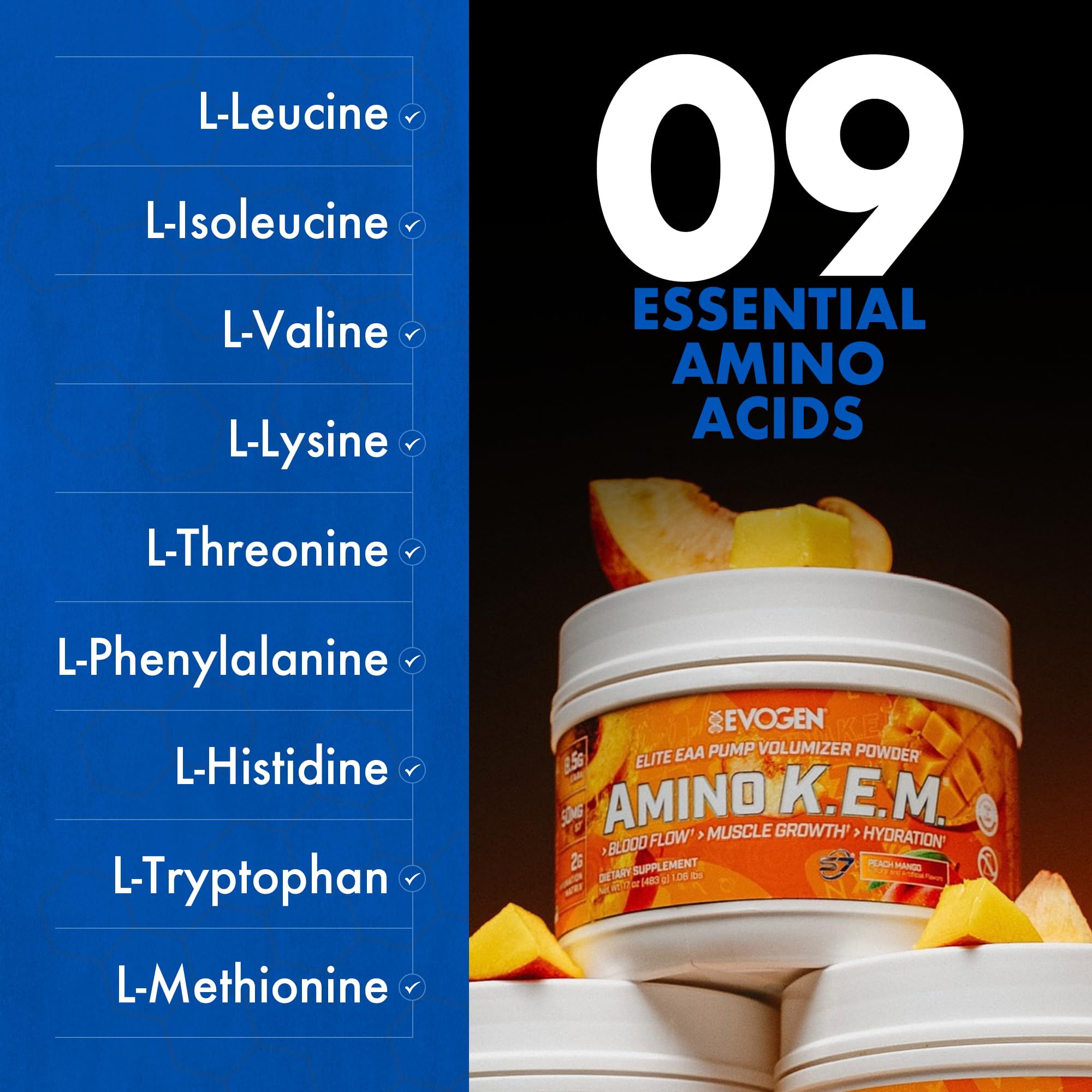 Evogen Amino K.E.M. hydration scene emphasizing betaine and coconut water