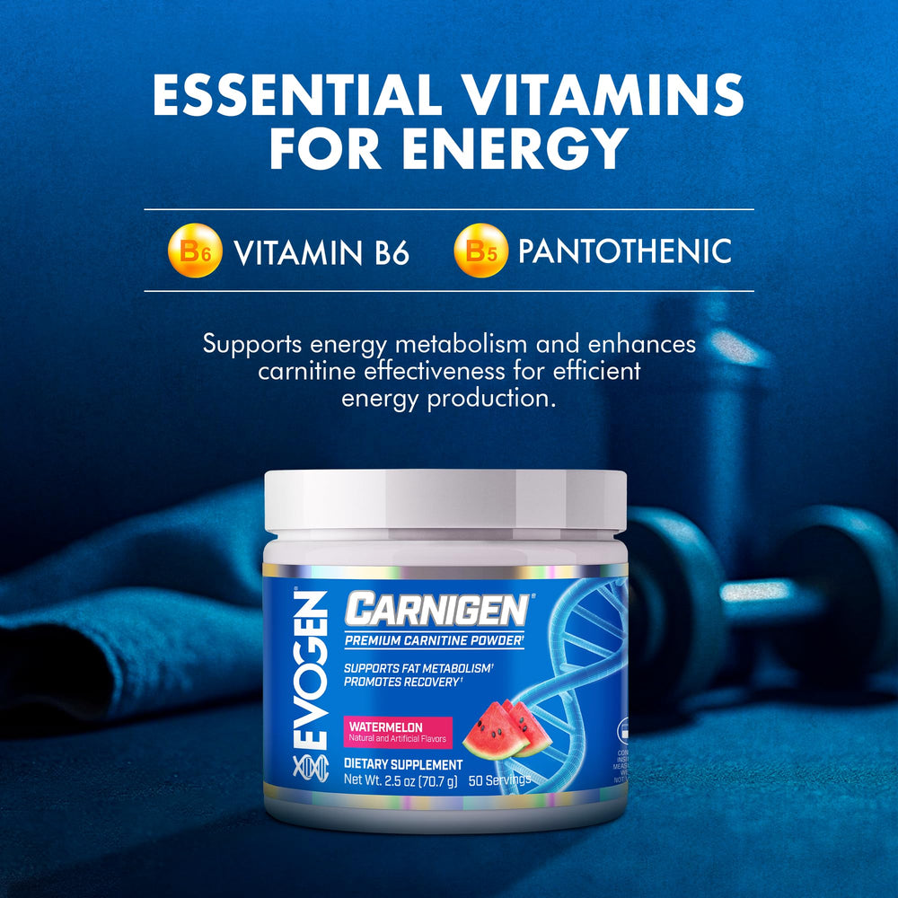 Evogen Carnigen mixed in water showing watermelon flavor appeal during workouts.