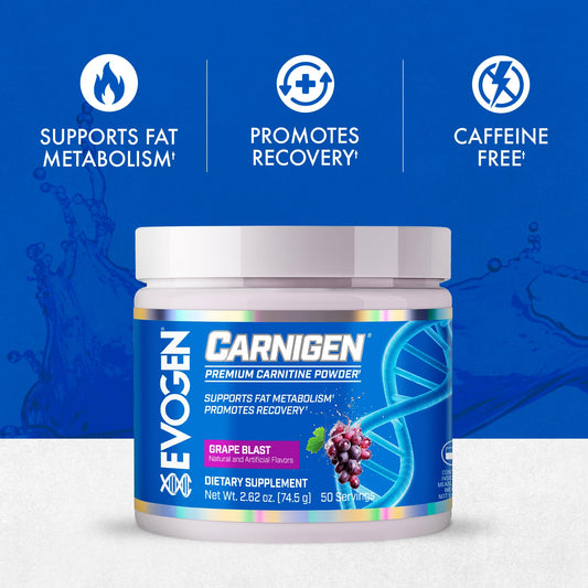 Evogen Carnigen powder with scoop shows convenient daily dosing for energy and recovery.