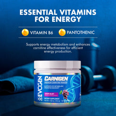 Evogen Carnigen supplement graphic illustrates non-stimulant fat metabolism benefits.