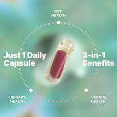 Evvy delayed-release capsule close-up emphasizing targeted delivery.