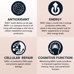 Fabamax NAD+ bottle on desk suggests at-home energy support routine.