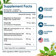 Facime Made in USA capsules displayed in organized bottle setup.