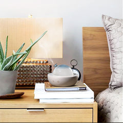 Fancemot diffuser touch controls enable easy operation.