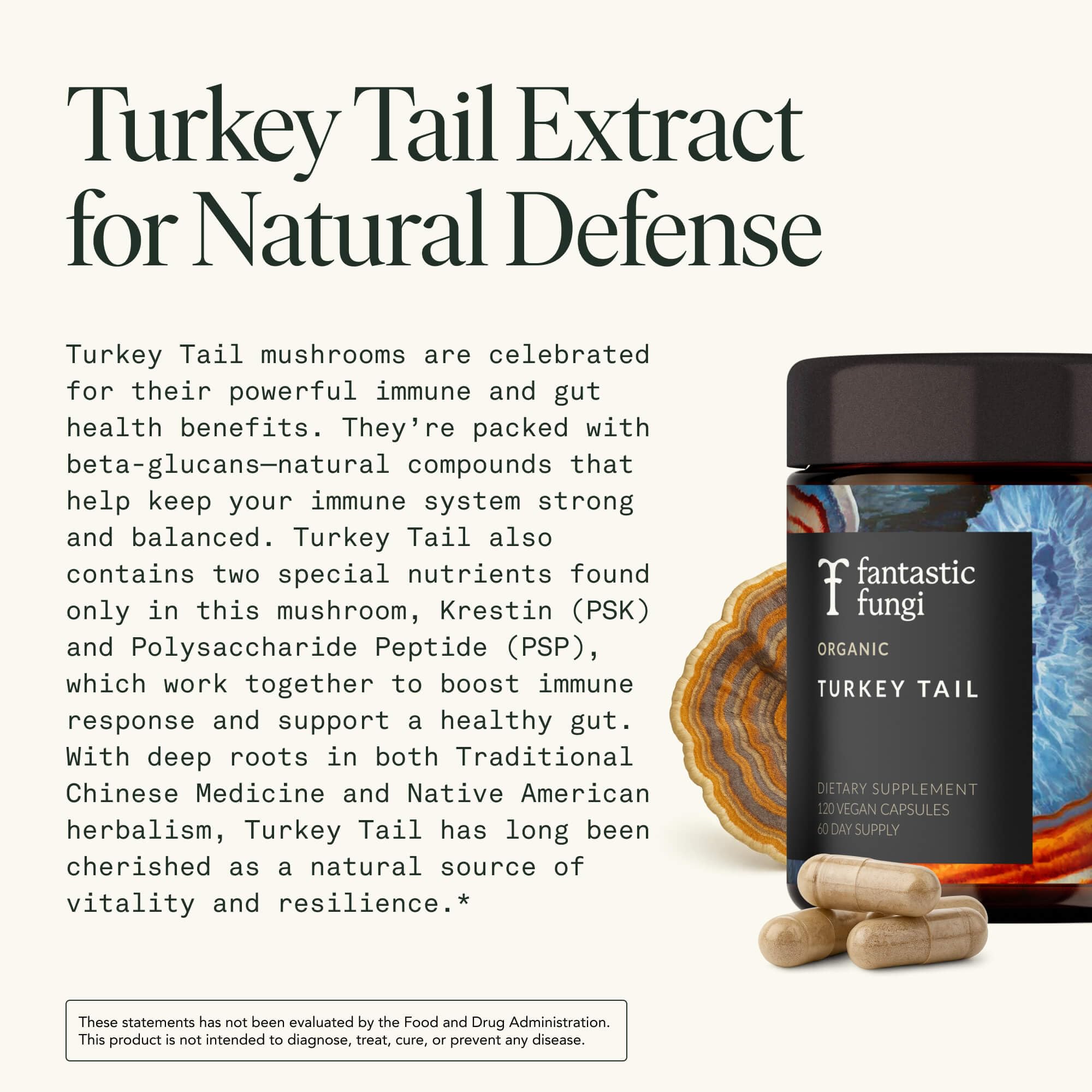 Fantastic Fungi 1000mg serving graphic shows potent turkey tail extract per capsule.