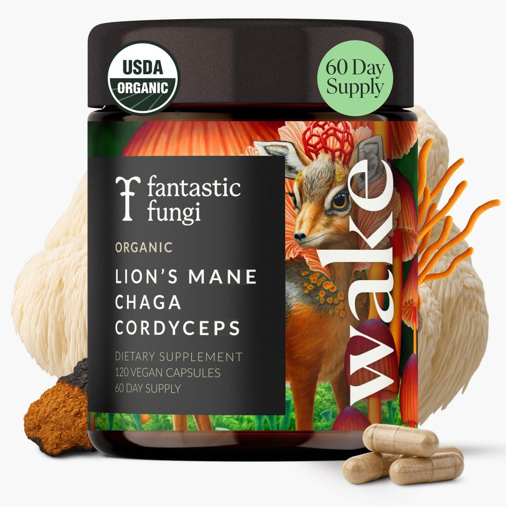 Fantastic Fungi bottle shot showing high-potency 3-in-1 blend for focus