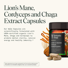 Fantastic Fungi capsules ready for daily dose with food for steady energy