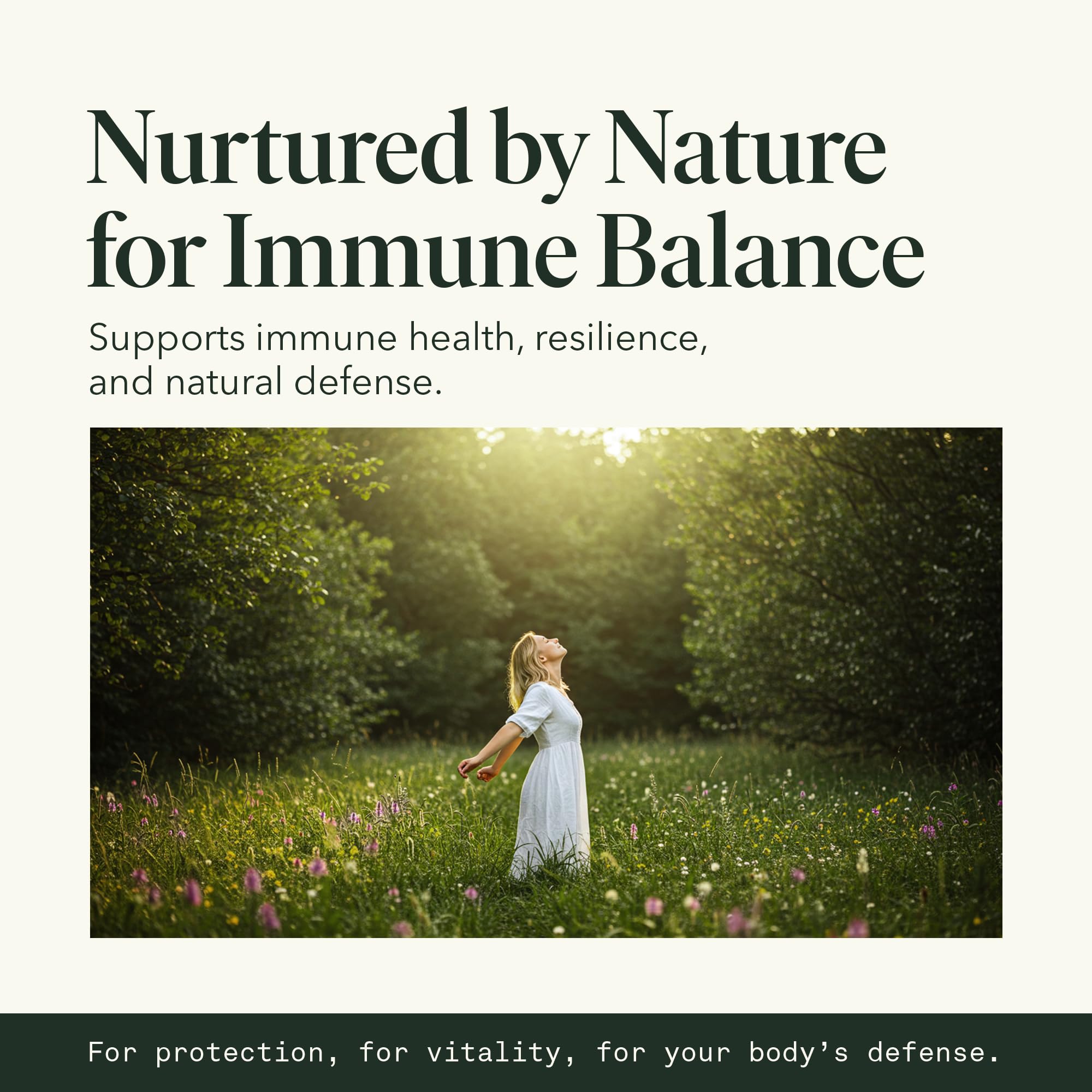 Fantastic Fungi Elderberry and Chaga components offering antioxidant-rich protection.