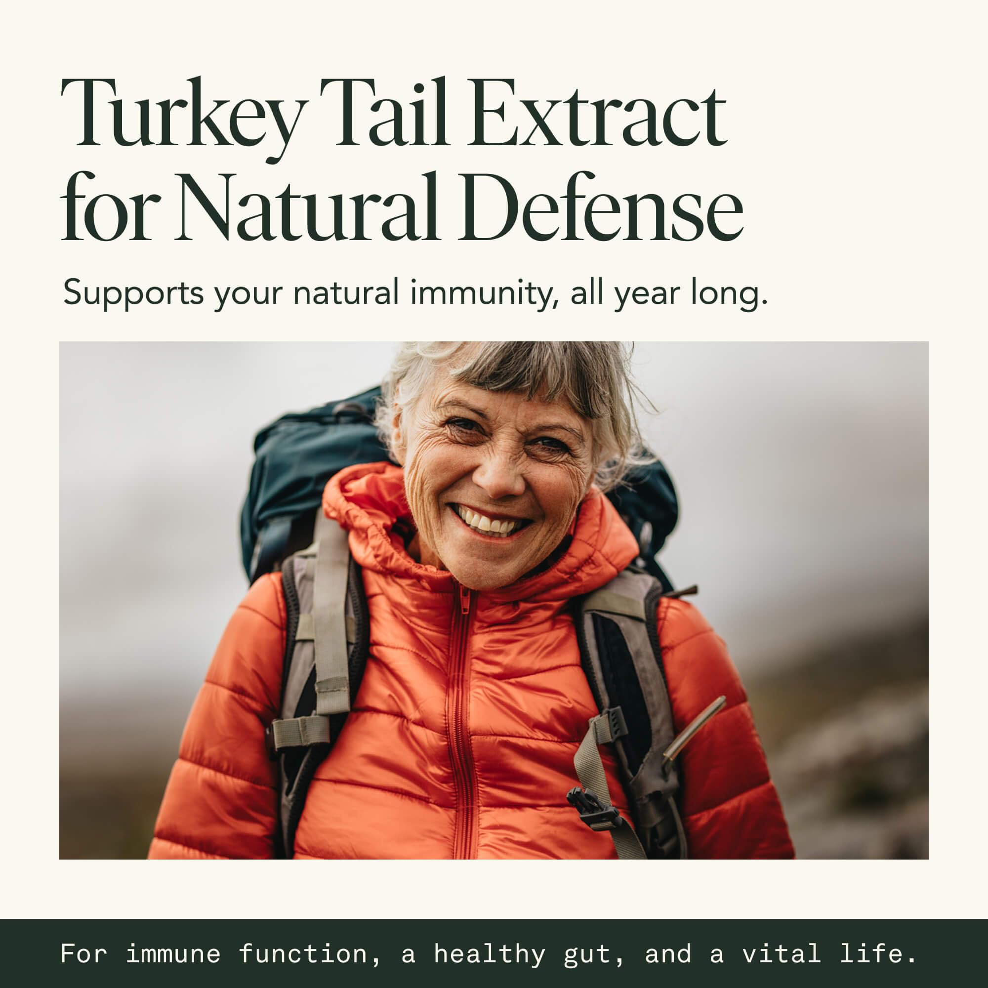 Fantastic Fungi lab-tested purity label underscores quality and safety.