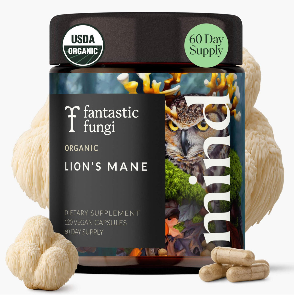 Fantastic Fungi Lions Mane bottle on shelf signaling focus support