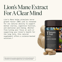 Fantastic Fungi Lions Mane daily-use bottle on desk for routine focus