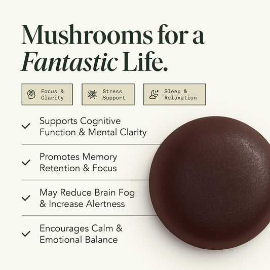 Fantastic Fungi Memory Gummies bottle side confirms vegan and gluten-free formula.