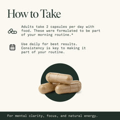 Fantastic Fungi packaging emphasizes absence of fillers and artificial flavors