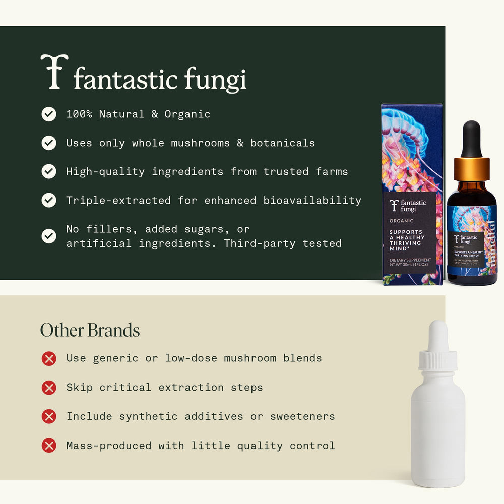 Fantastic Fungi Plant-based cognitive support visual communicates natural focus potential