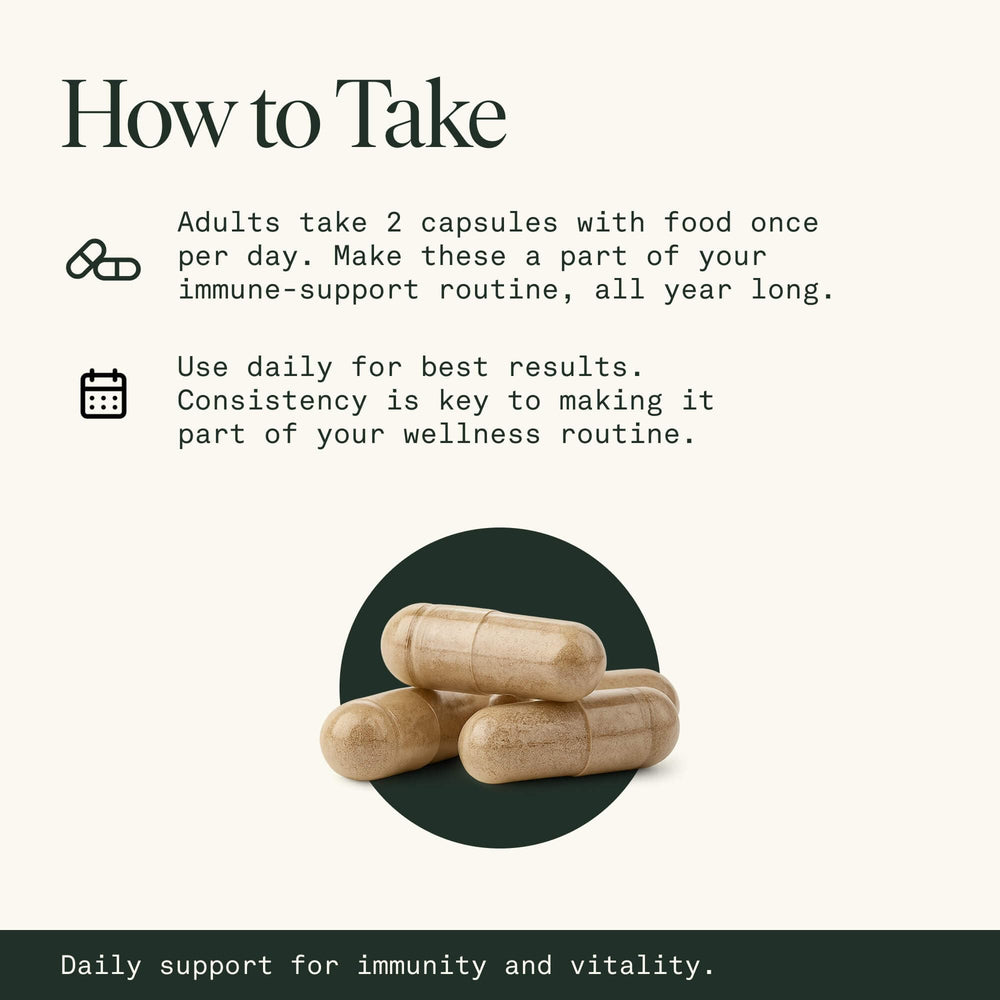 Fantastic Fungi prebiotic support graphic suggests gut-friendly nourishment.