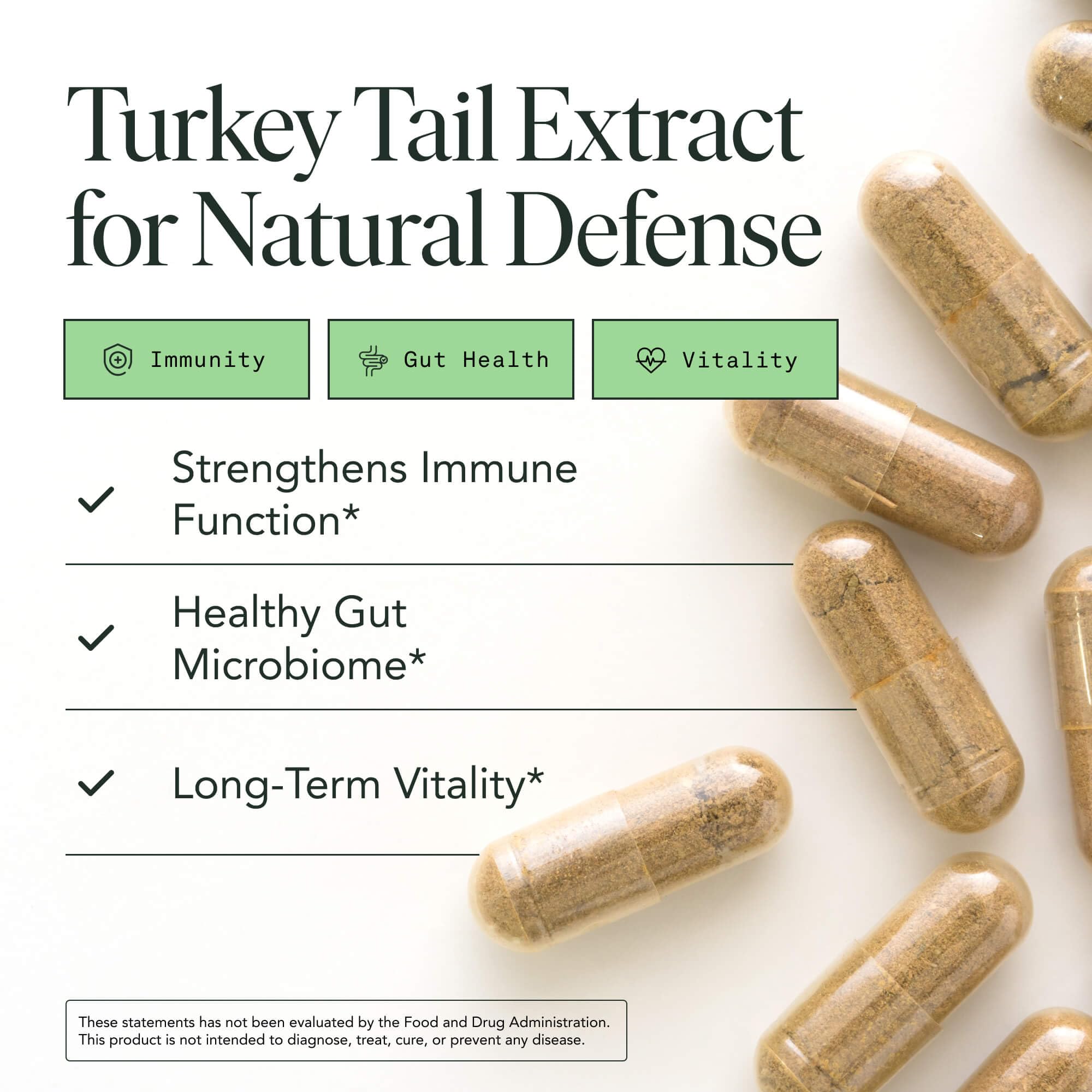 Fantastic Fungi Turkey Tail capsules closeup highlighting vegan capsule format.
