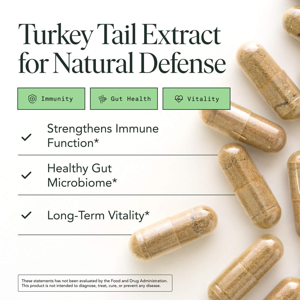 Fantastic Fungi Turkey Tail capsules closeup highlighting vegan capsule format.