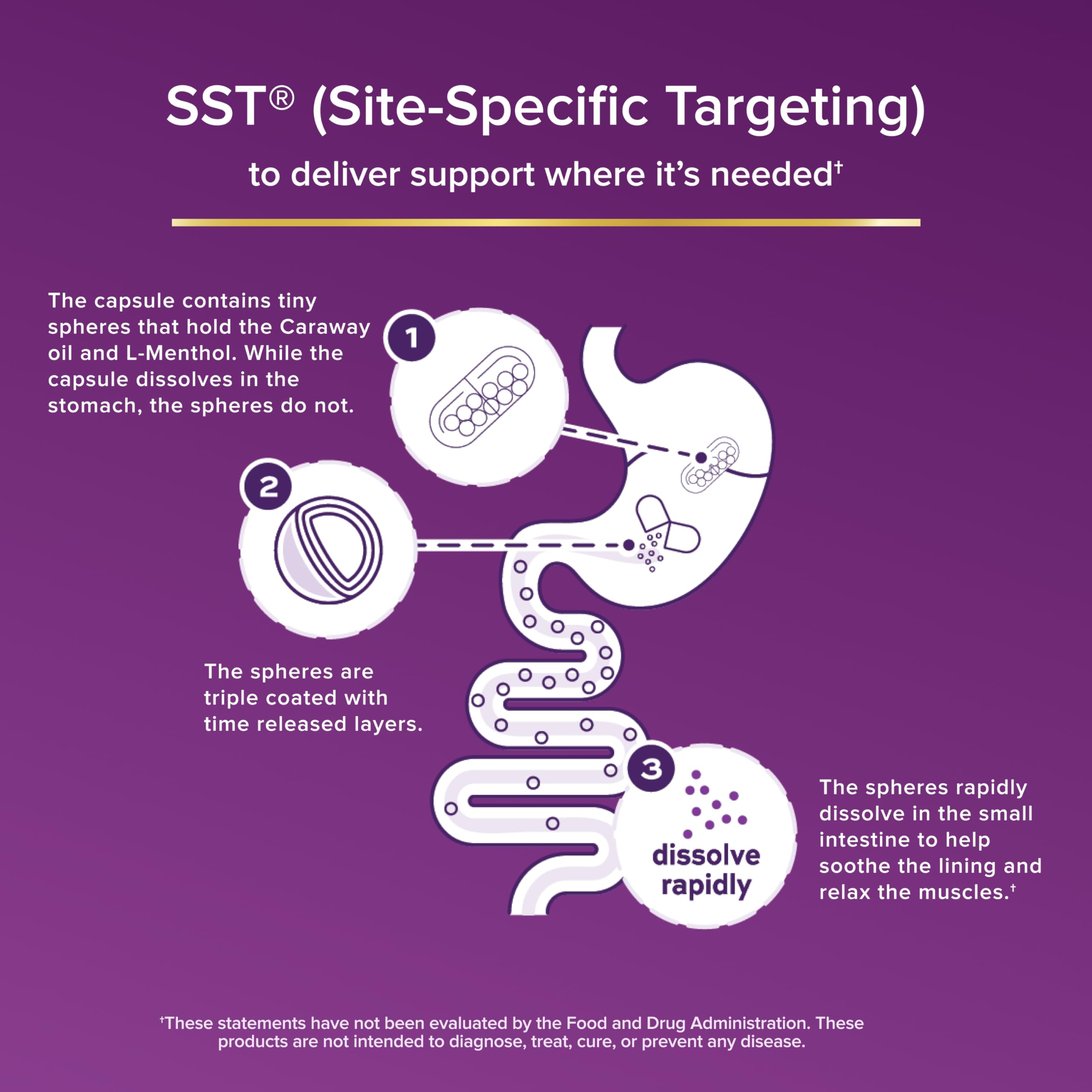 FDgard SST technology diagram illustrating targeted delivery to the digestion source.