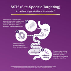 FDgard SST technology diagram illustrating targeted delivery to the digestion source.