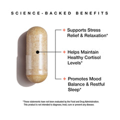 FeelGood Liposomal Ashwagandha capsules arranged in bottle for vegan convenience.