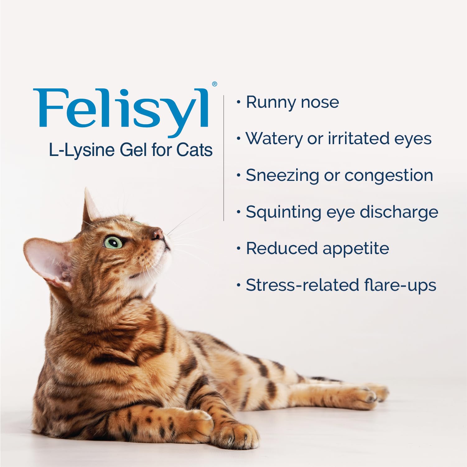 Felisyl L-Lysine Gel on dish supports simple dosing