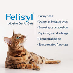Felisyl L-Lysine Gel on dish supports simple dosing