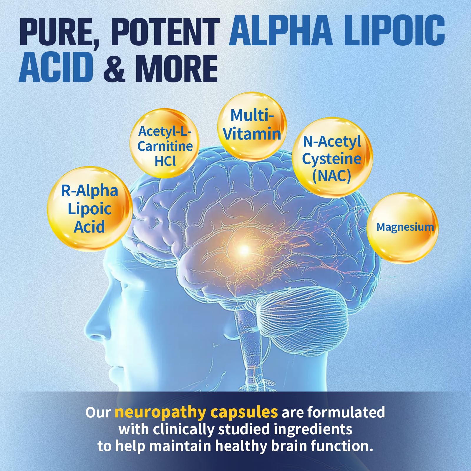 Femmetra acetyl-l-carnitine capsules supporting cognitive function and energy